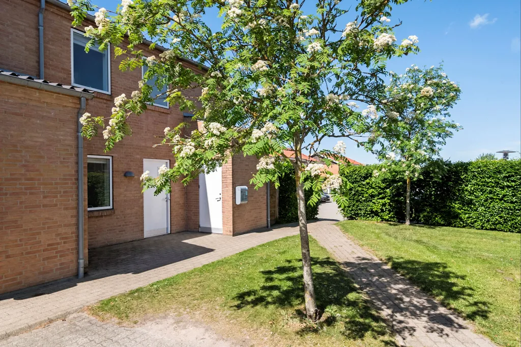 Extérieur - Enderækkehus with South-Facing Terrace in Trige