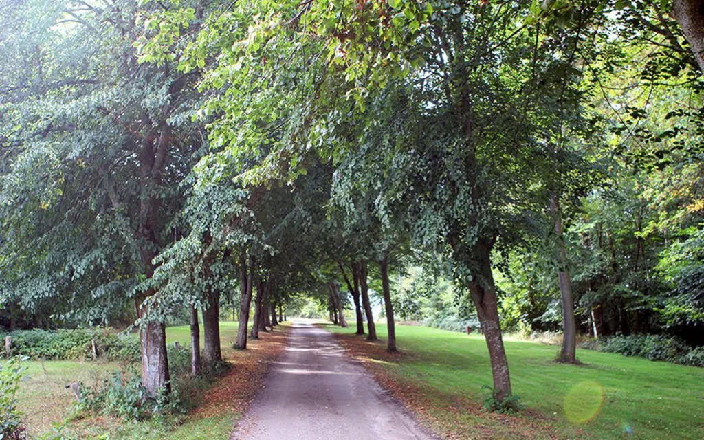 Esterno - Year-Round Plot with 5G Coverage in Juelsminde