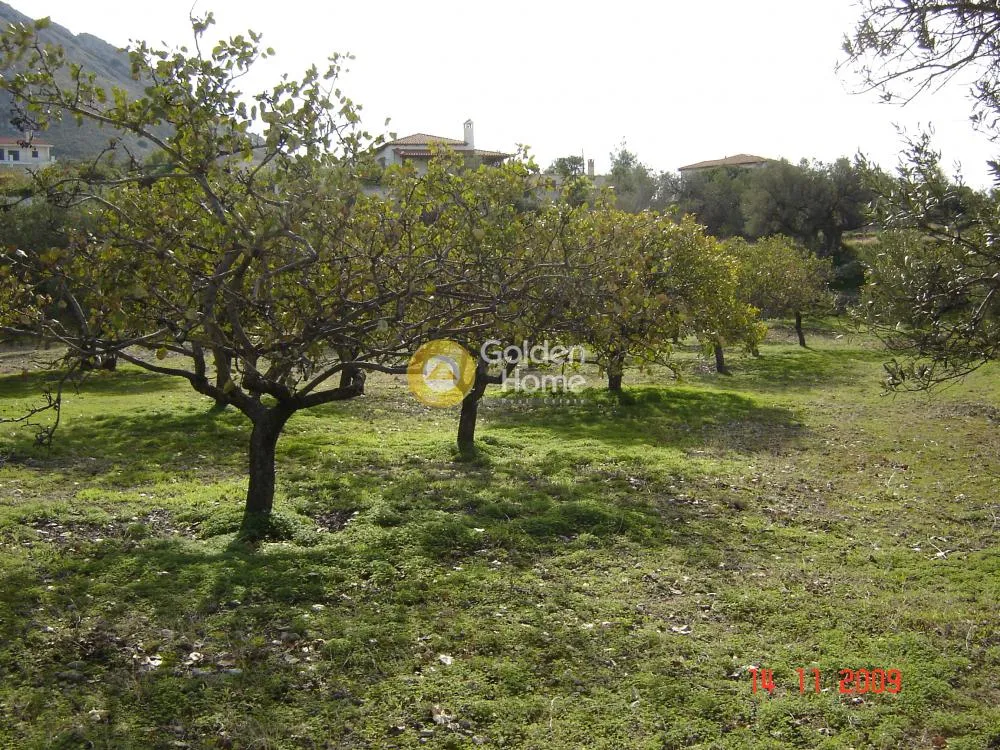 Giardino - Plot with Sea View in Agia Marina, Agia Napa