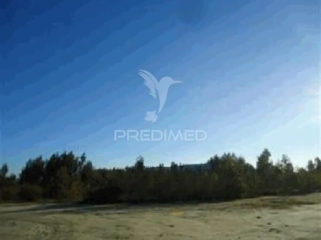 Jardin - Construction Plot with Forest Protection in Seroa
