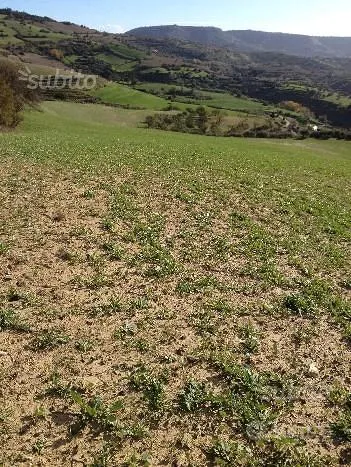 Aed - 7 Ha Agricultural Land with Olive Trees in Panoramic Setting
