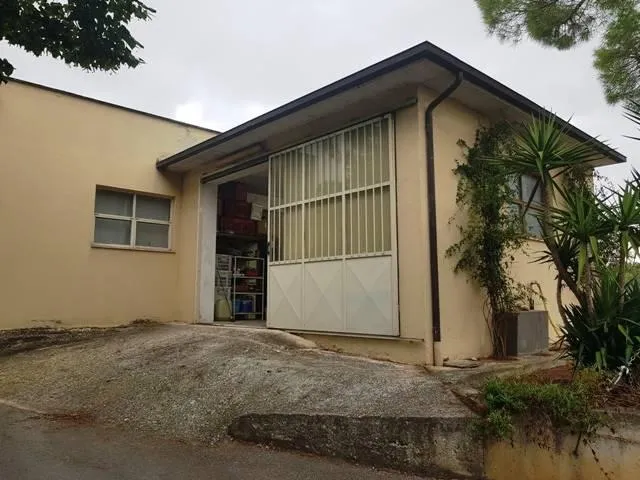 Extérieur - Apartment with Terraces in San Severino Marche