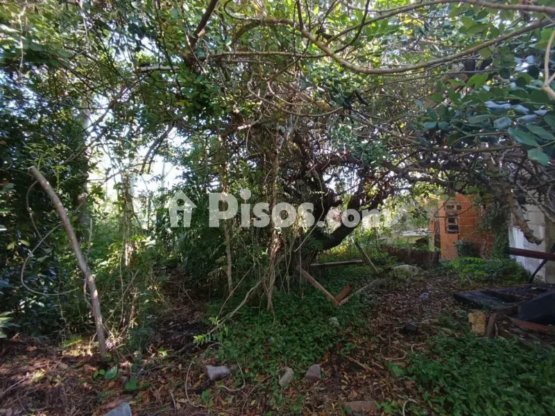 Aed - Rustic Finca with Garden near Càlig