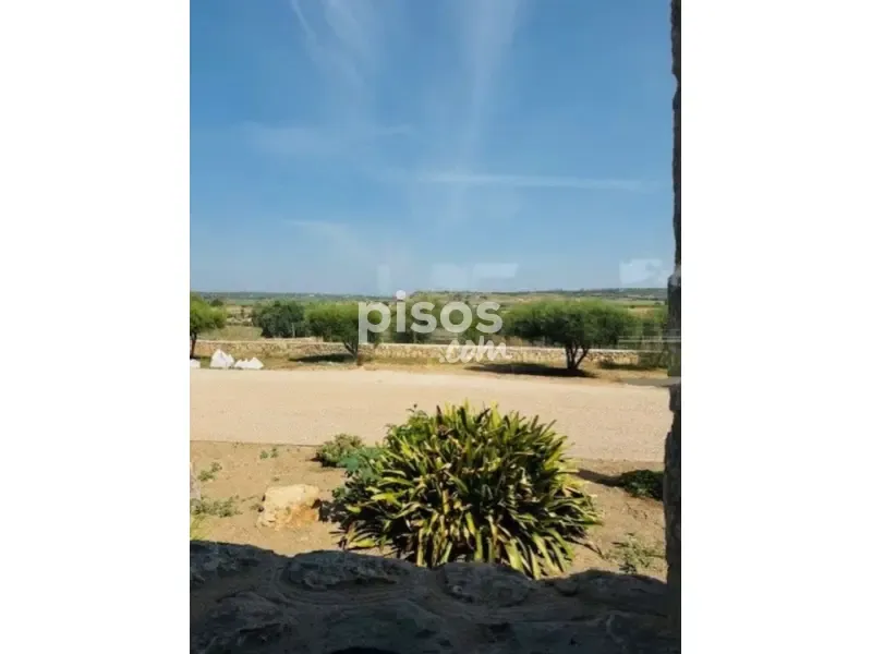 Jardin - Rustic Finca with Pool near Manacor