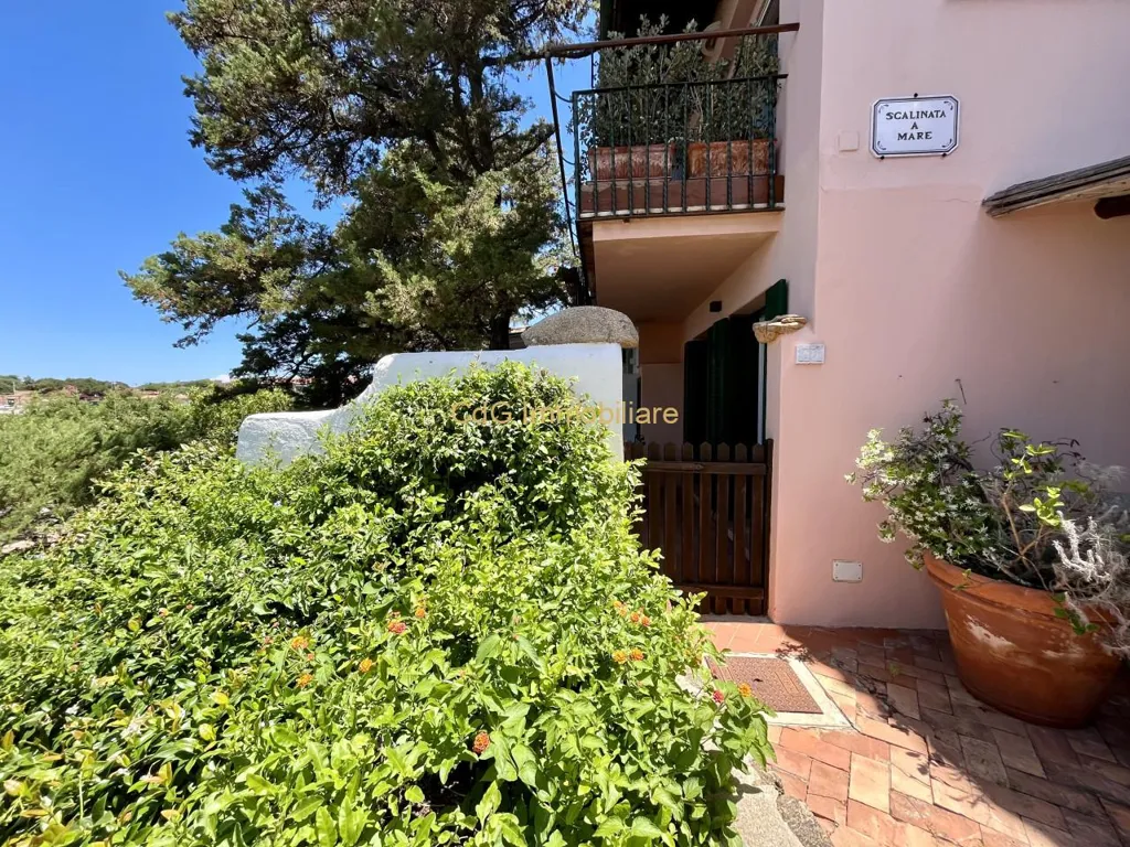 Terrass - Quadrilocale with Sea View in Porto Rotondo