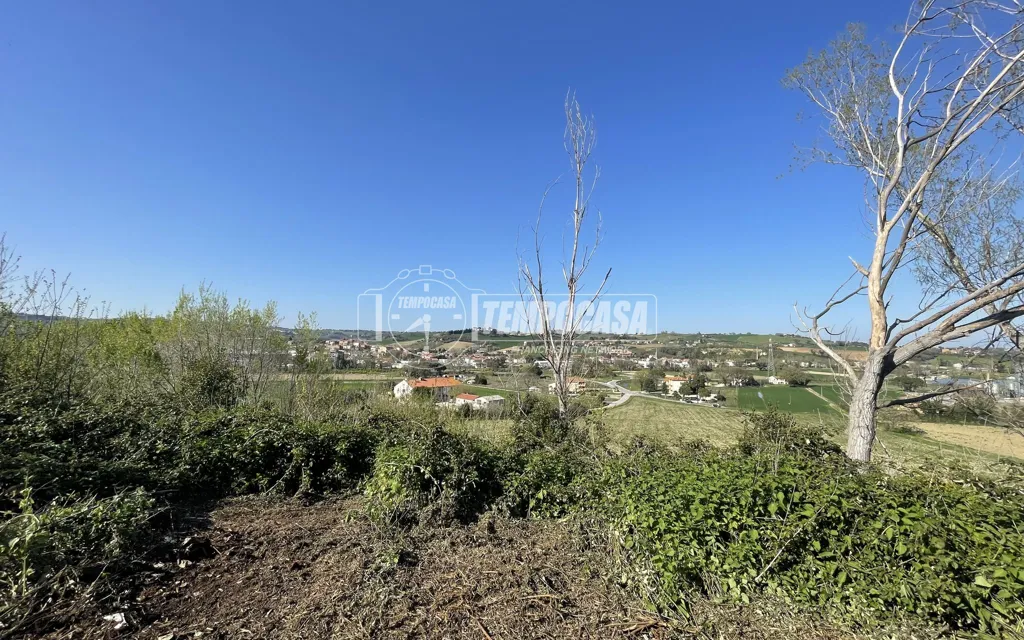Jardin - Rustic Casale with Private Garden in Ostra