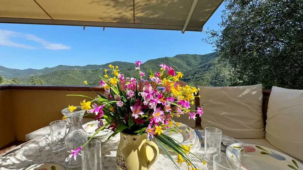 Terrasse - Restored Stone Villa with Open Valley View in Casanova Lerrone