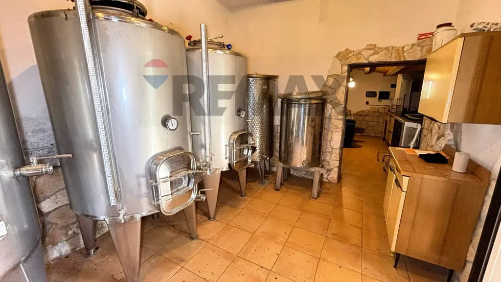 Toad - Villa with Olive Grove in Alimena
