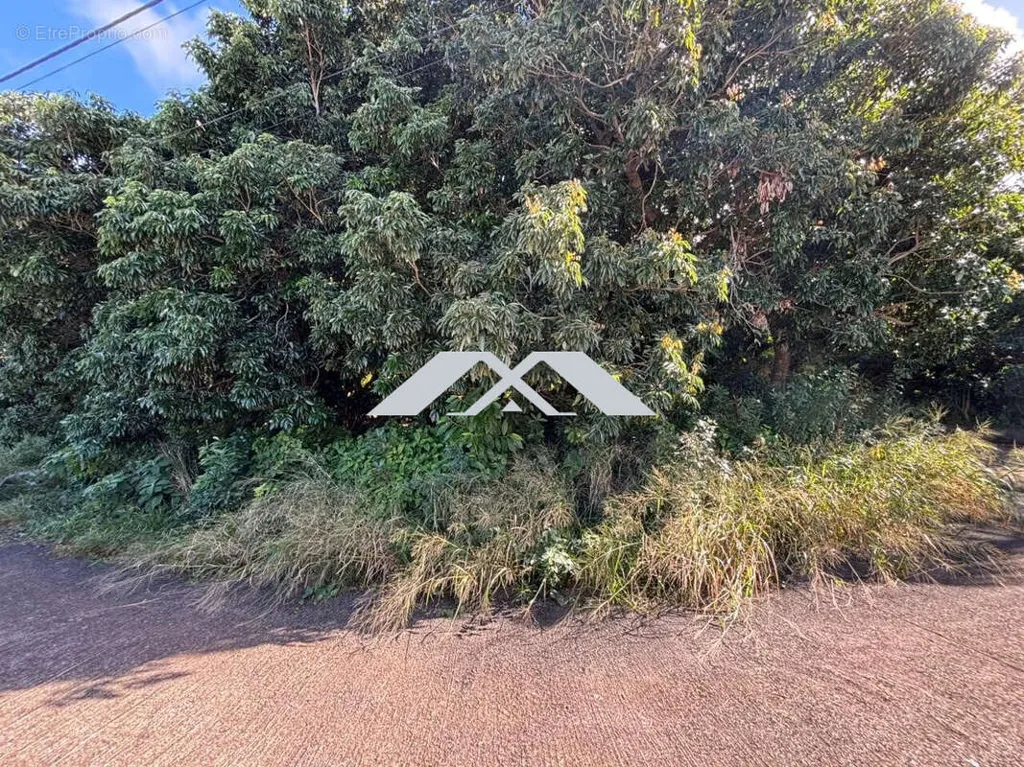 Jardin - Terrain Constructible à Saint-Joseph
