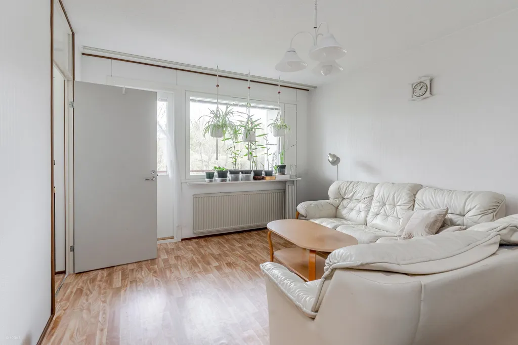 living_room