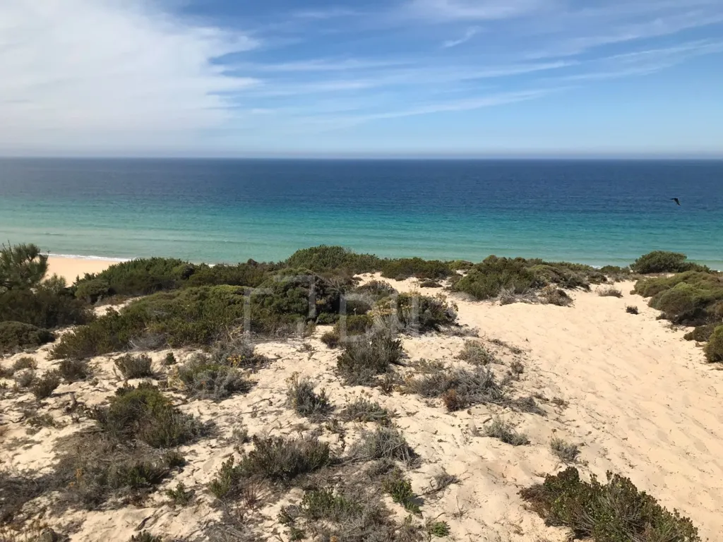 T2 House with Private Pool in Comporta