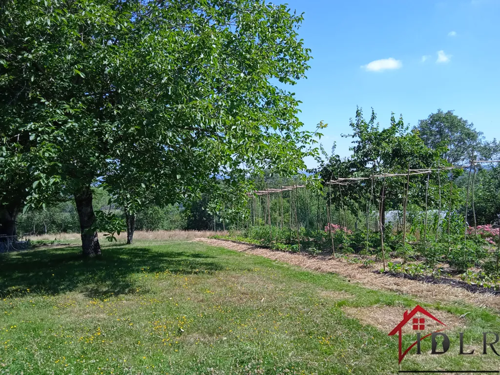 Garden - Charming Property with Two Homes near Bourbonne-les-Bains