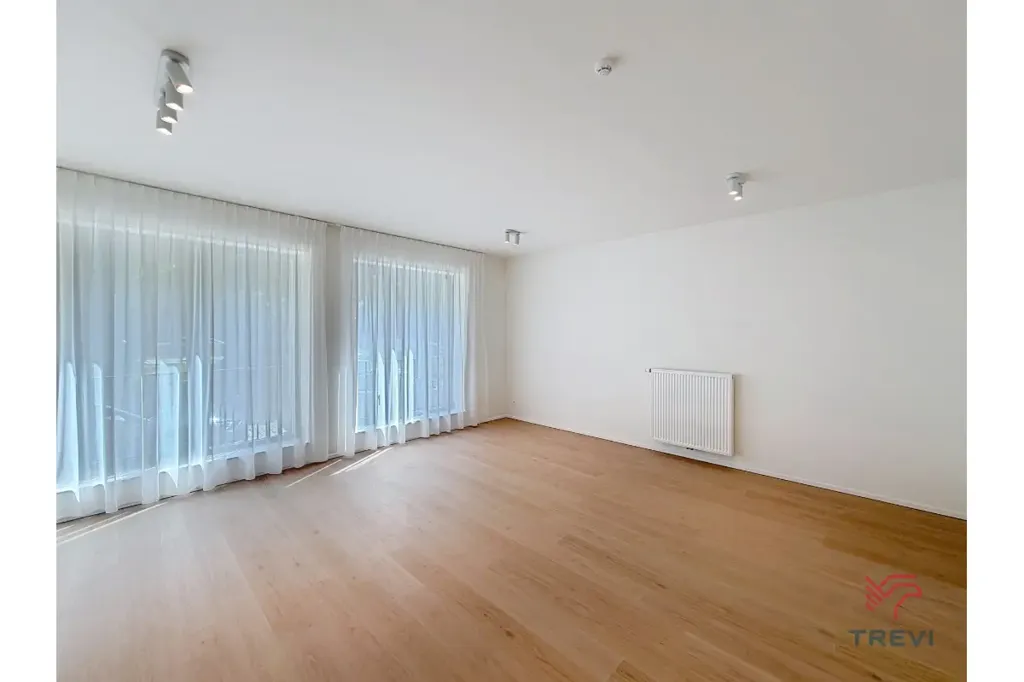 Toad - New Studio Flat in Central Brussels