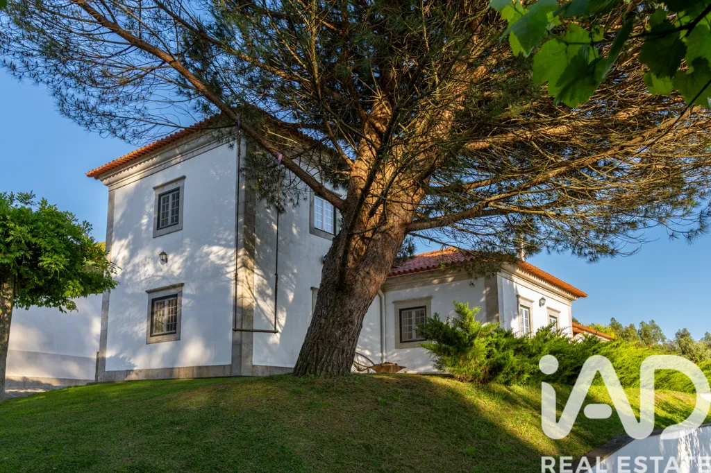 Extérieur - Renovated Villa with Pool in Minho