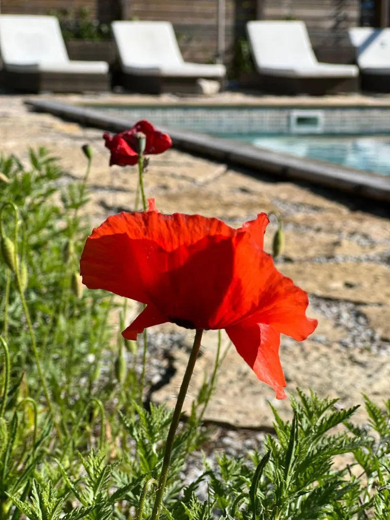 Piscina - Villa with Pool and Sea View in Östergarn