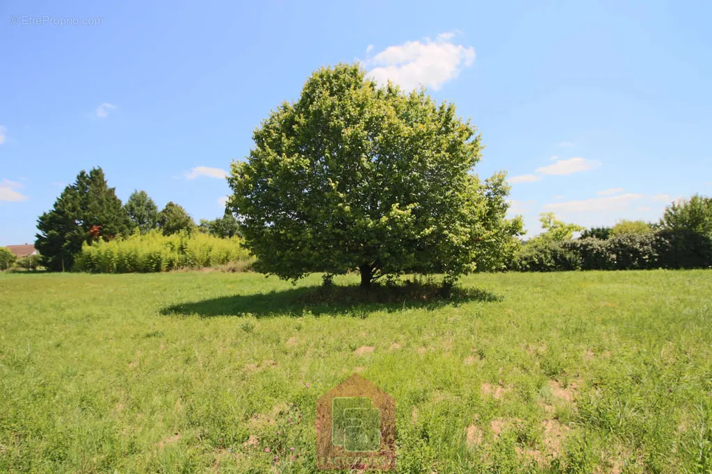 Jardin - Terrain Constructible sur les Hauteurs de Puy l'Évêque