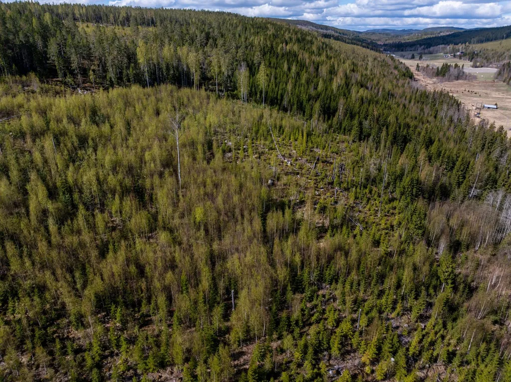 Giardino - Unbuilt Land with Forest in Sundsvall