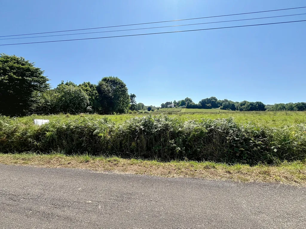 Jardin - Terrain Constructible avec 8 Hectares de Nature à Lahourcade