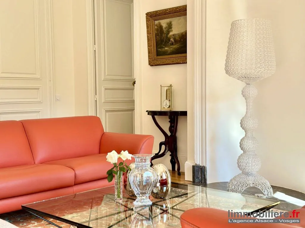 Soggiorno - Luxury Flat with Park Views in Saint-Dié-des-Vosges
