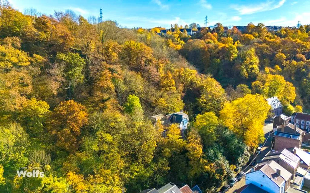 Vue aérienne - Maison de Caractère avec Terrasses à Visé