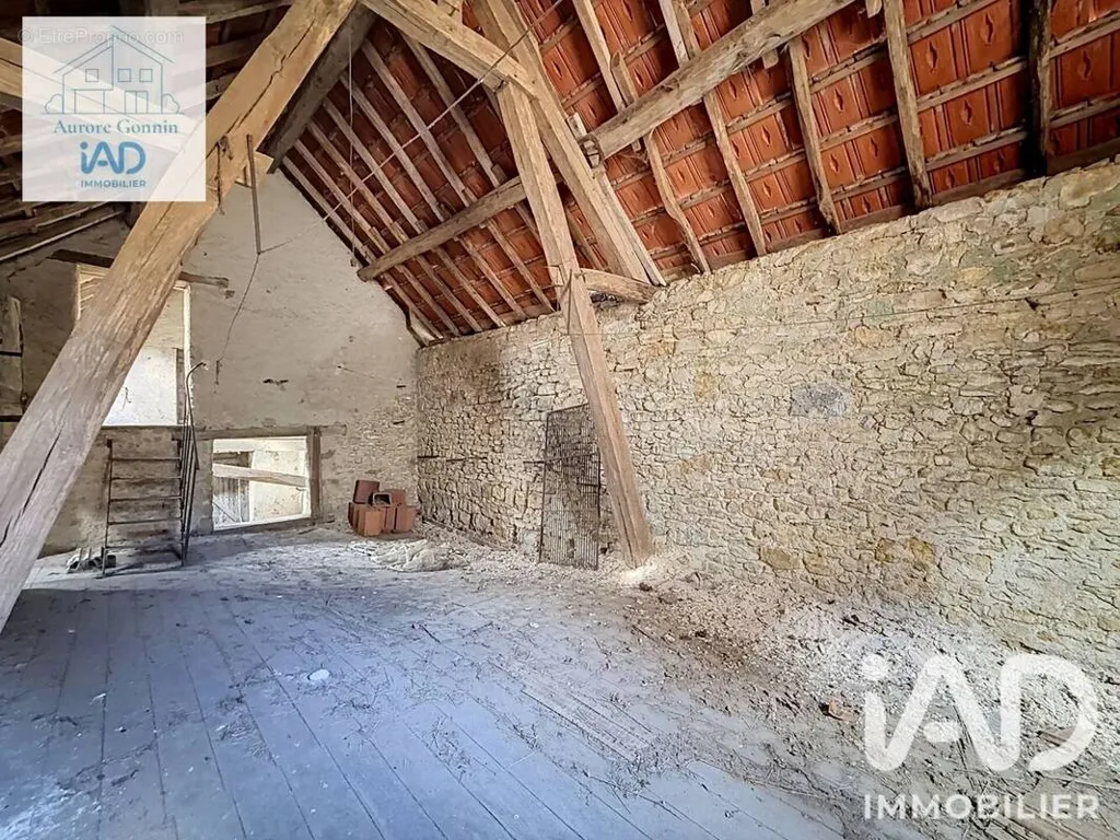 Toad - Former Forge with Apartment in Saint-Pierre-Le-Moutier