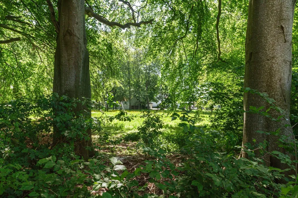 Historic House with Garden in Simrishamn