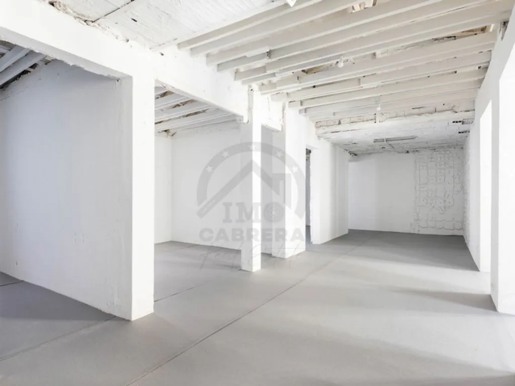 Toad - Luxury Apartment with Rooftop Access in Salamanca