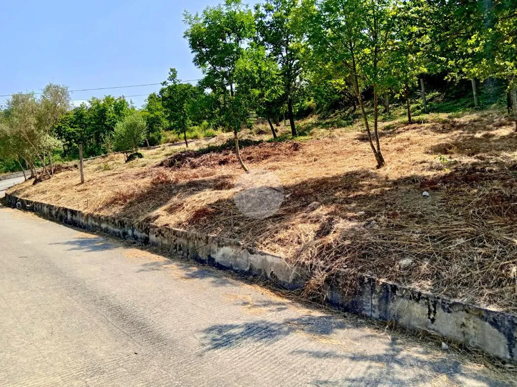Aed - Industrial Plot in Prignano Cilento