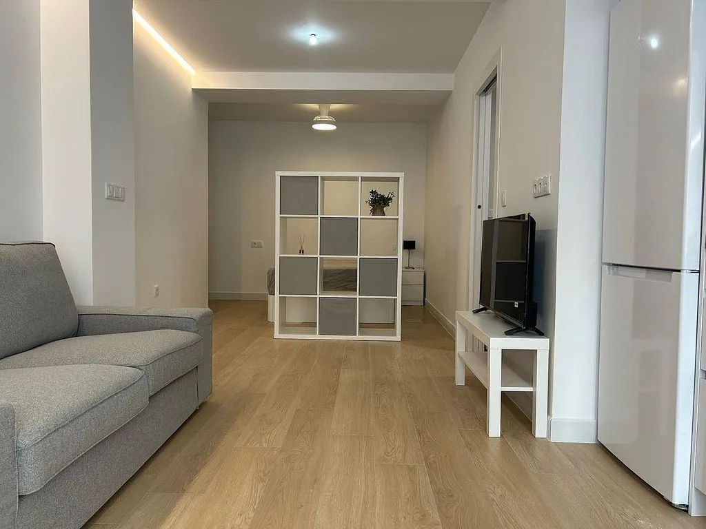 Elutuba - Loft with North Orientation in Elche Centre
