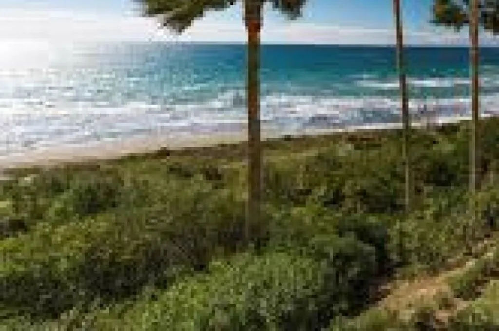 Jardin - Seafront Apartment with Sea View in Marbella