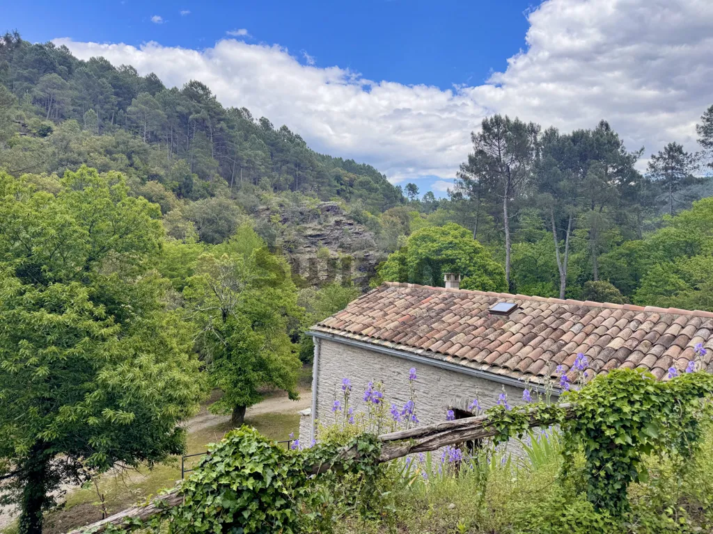 Extérieur - Hameau de 22 Hectares avec Piscine en Cévennes