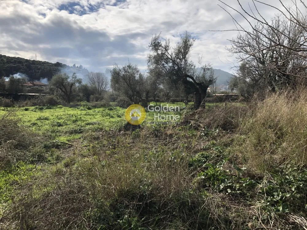 Aed - Land Plot with Mountain View in Evpali