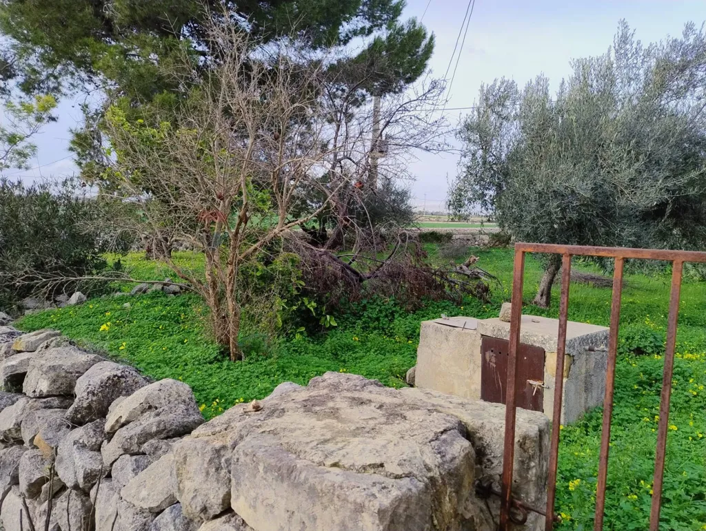 Jardin - Independent House with Orchard in Modica