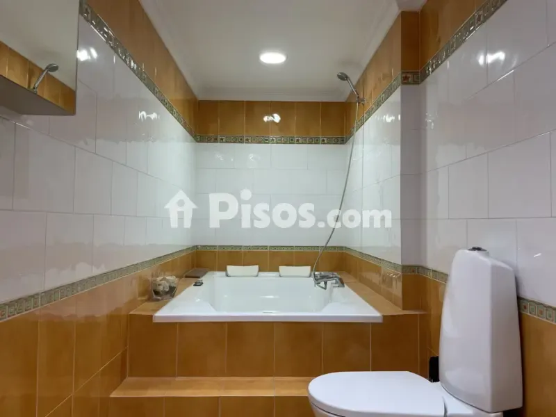 Salles de bain - Modernised Duplex with Mountain View in Beniparrell