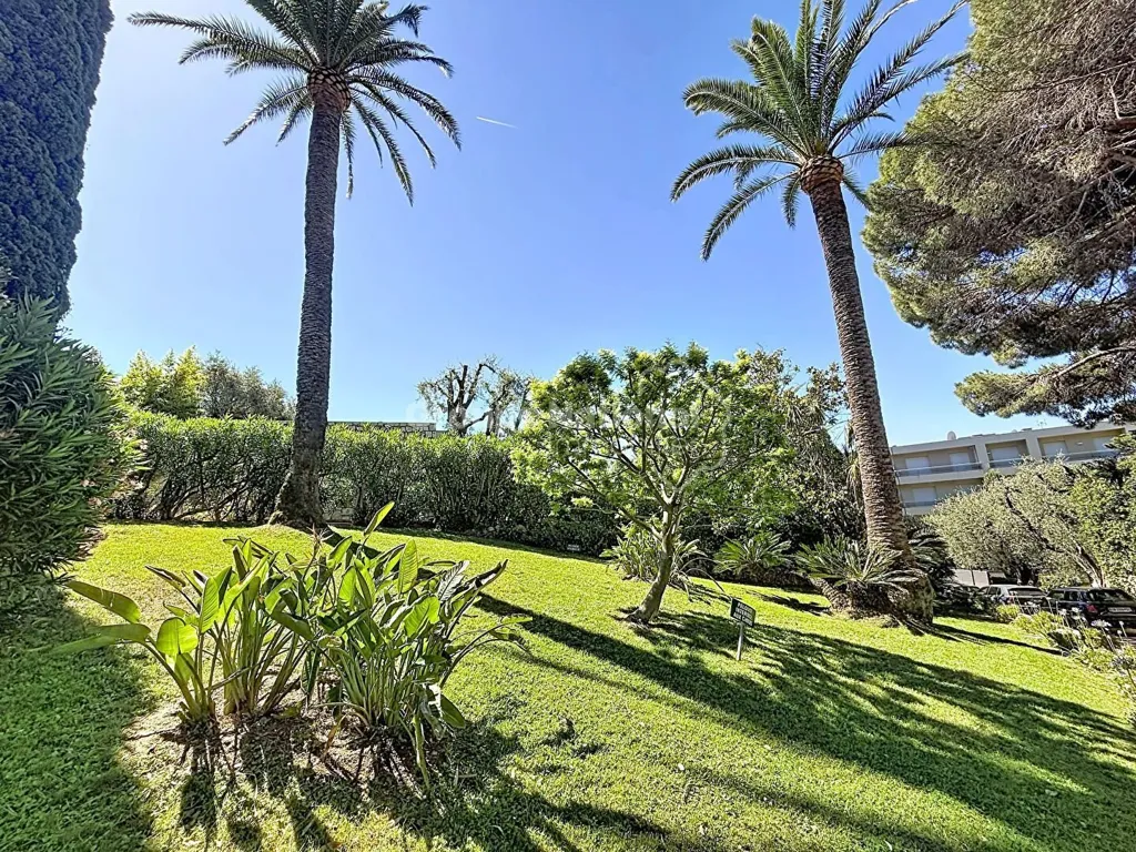 Jardin - Appartement avec Vue Mer et Piscine à Cannes