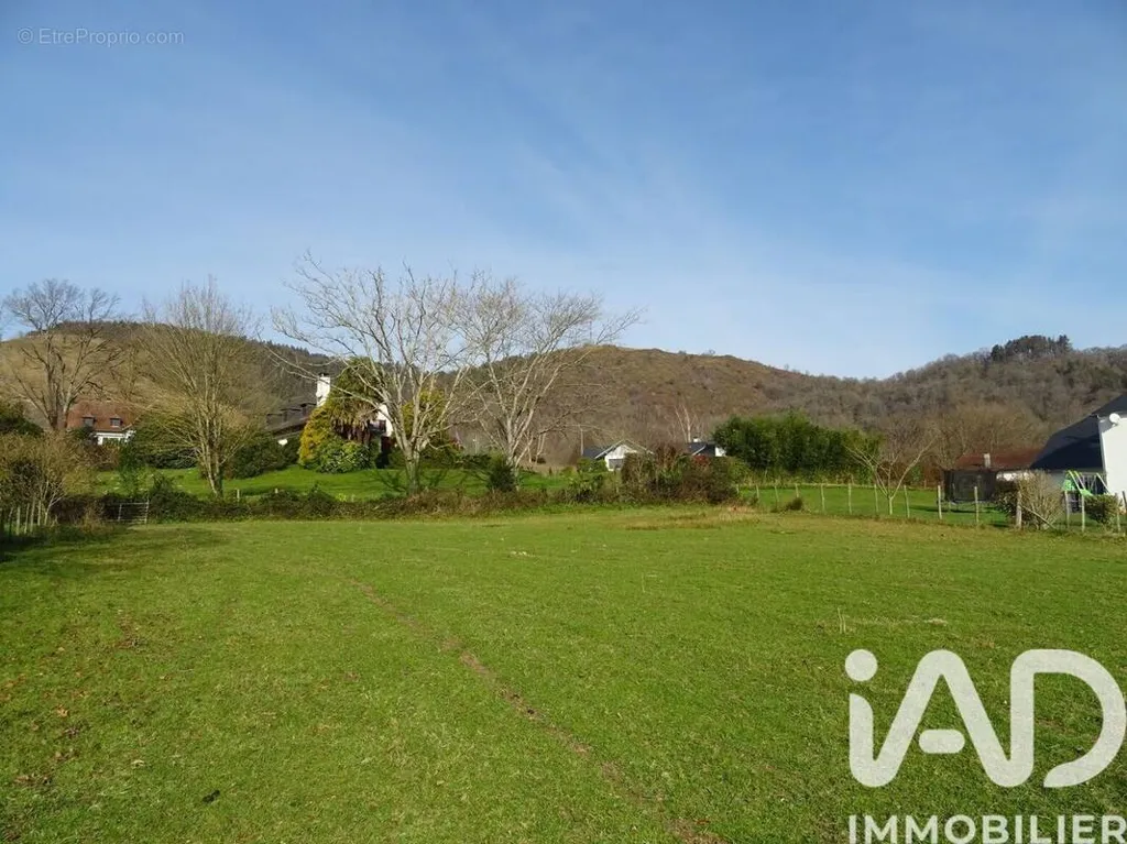 Jardin - Terrain Plat à Mauleon-Licharre