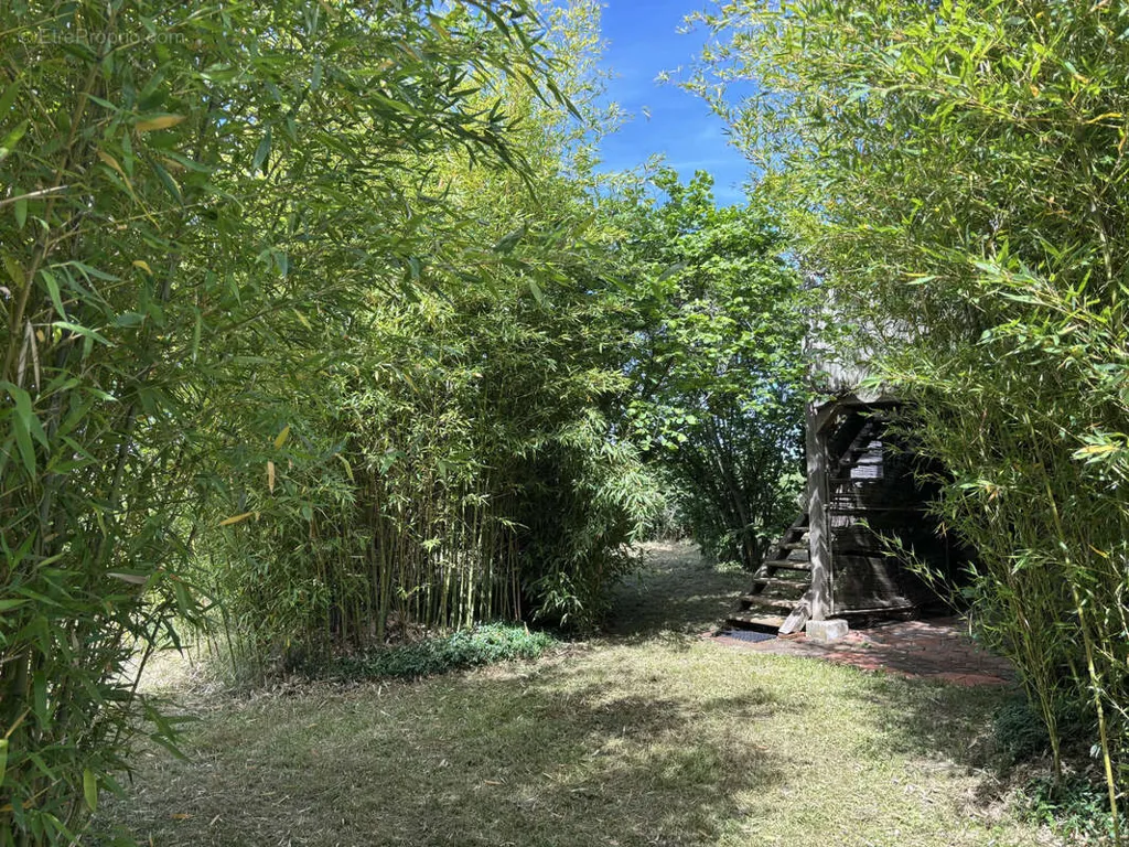 Jardin - Fermette avec deux logements et jardin à Laféline