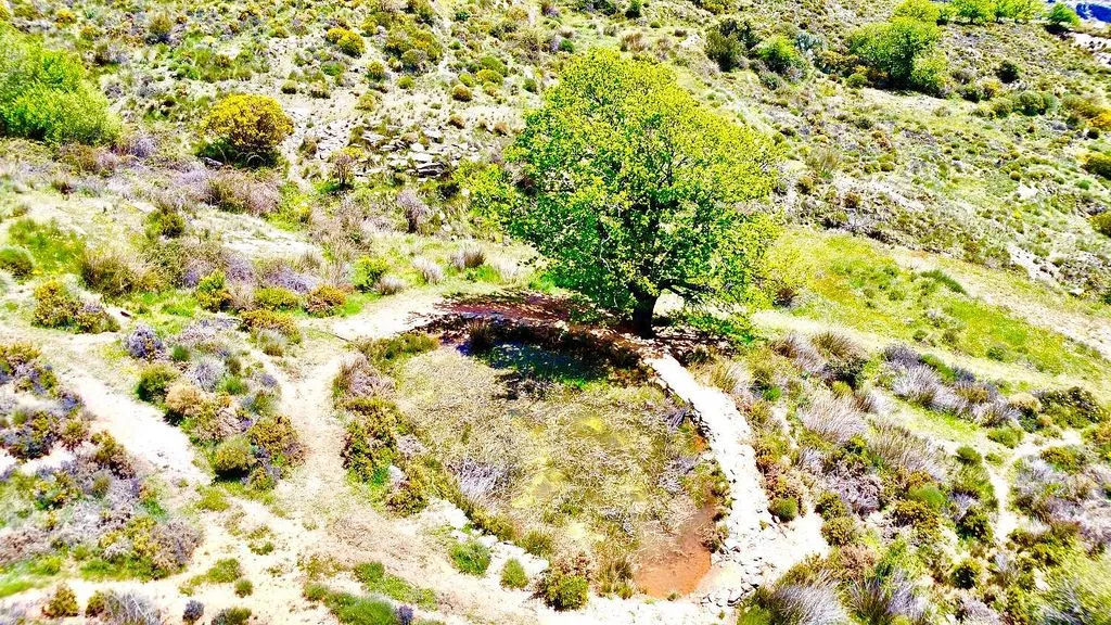 Õhuvaade - Rustic Finca with Water Source in Sierra de Júbar
