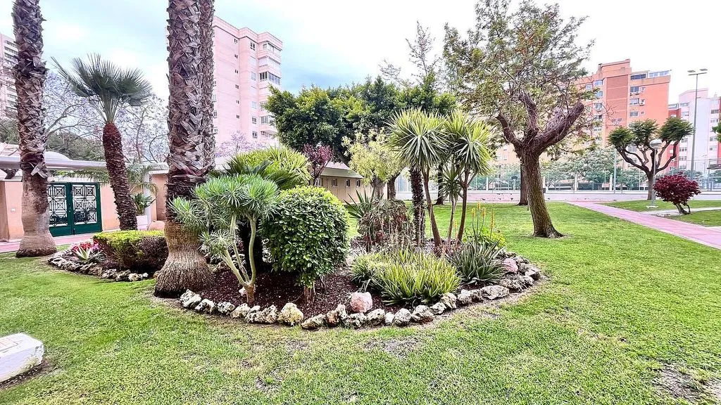 garden