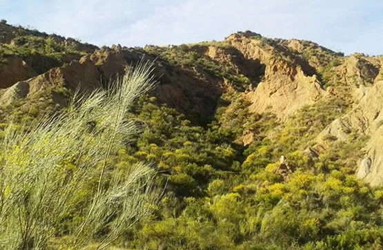 Terrain à Nevada