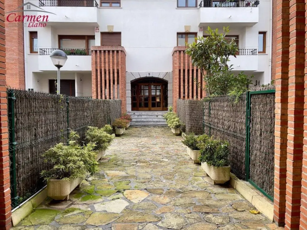 Aed - Spacious Apartment with Terrace in Neguri