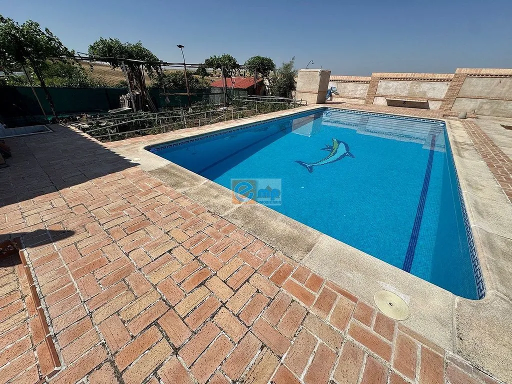 Piscine - Chalet with Pool and Terraces in Palomeque
