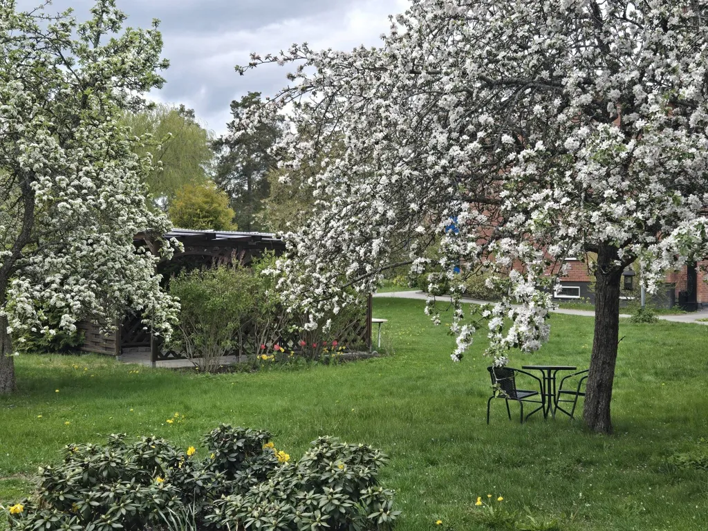 Jardin - Apartment with Balcony in Värmdö