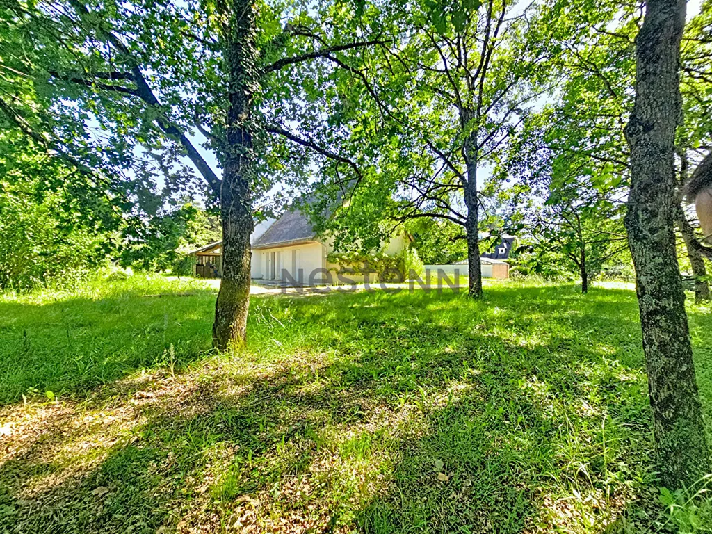 Aed - Reconstruction-Ready Plot in Saint-Cyr-sur-Loire
