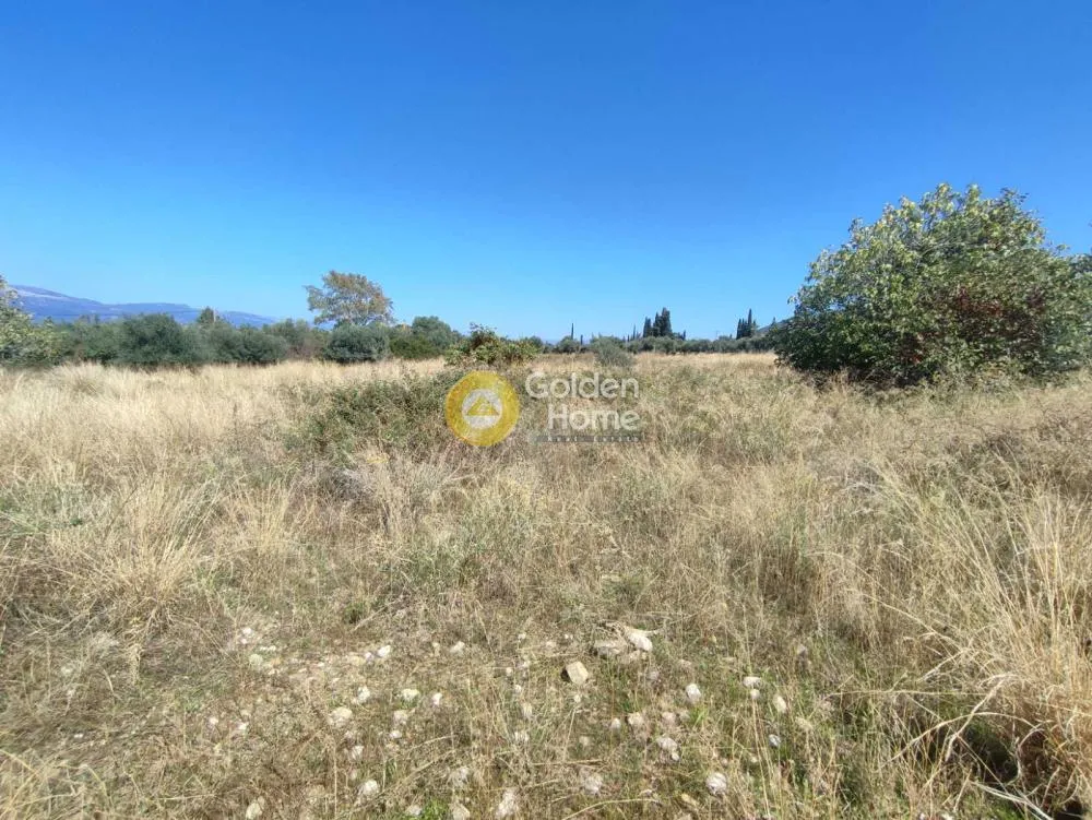 Giardino - Agricultural Plot with Sea Access in Patras