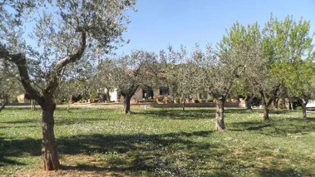 Aed - Villa with Pool and Panorama in Rosignano Marittimo