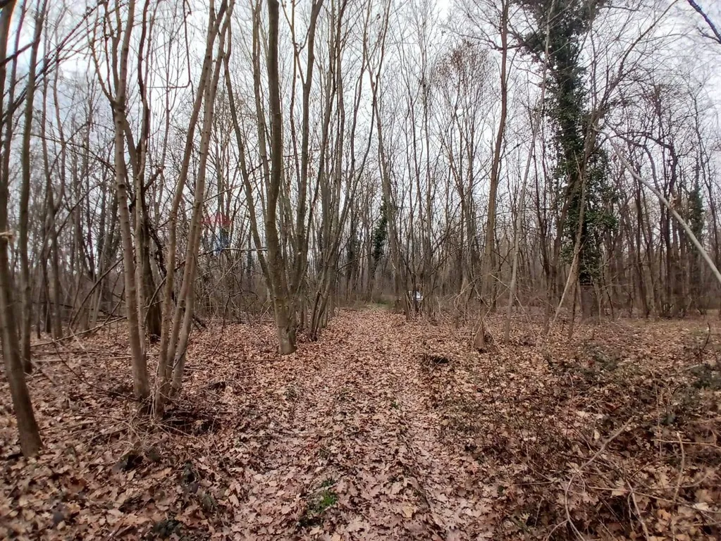 Jardín - Agricultural Land with Forest in Benna/Candelo