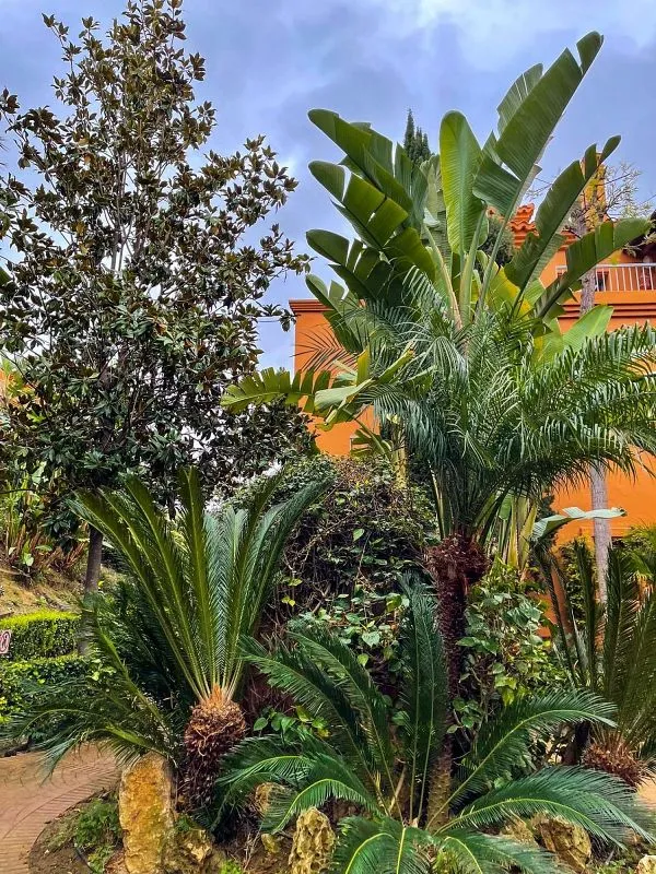 Jardin - Modern Apartment with Pool in Estepona East