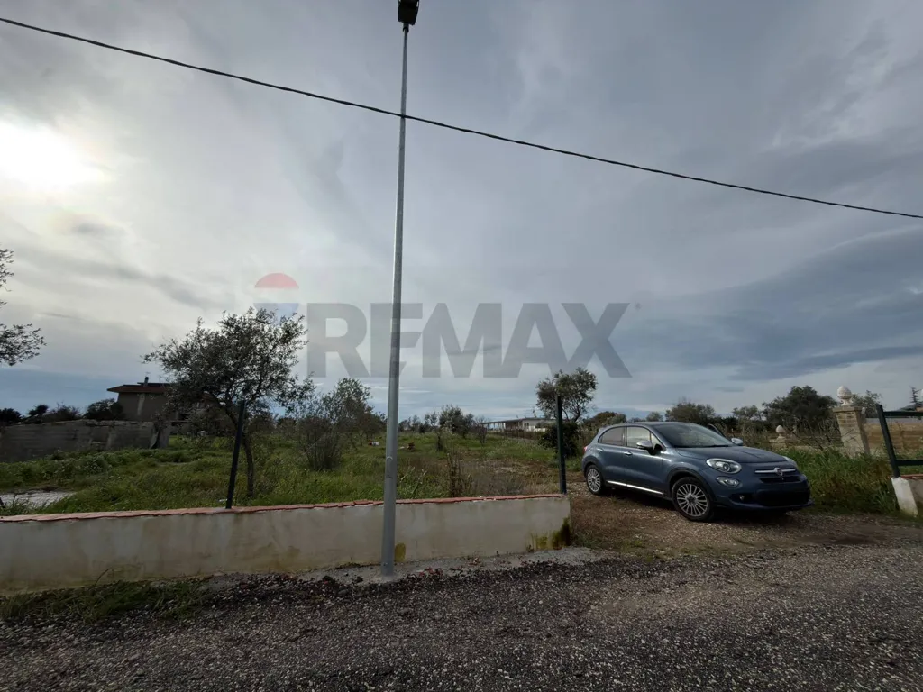 Jardin - Agricultural Land with Olive Trees in Formia