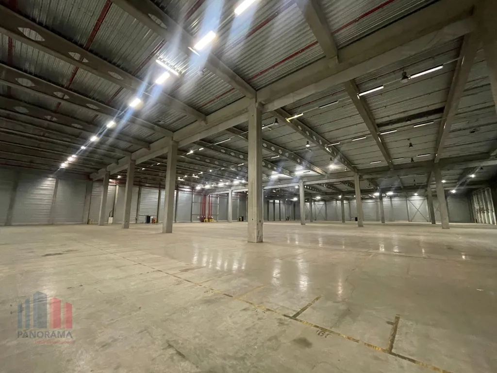 Toad - Logistic Warehouse with 10,000 m² in Ostend